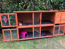 Small Animal Boarding Hutch