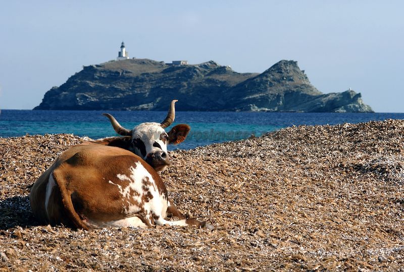 Cap Sur Le Cap