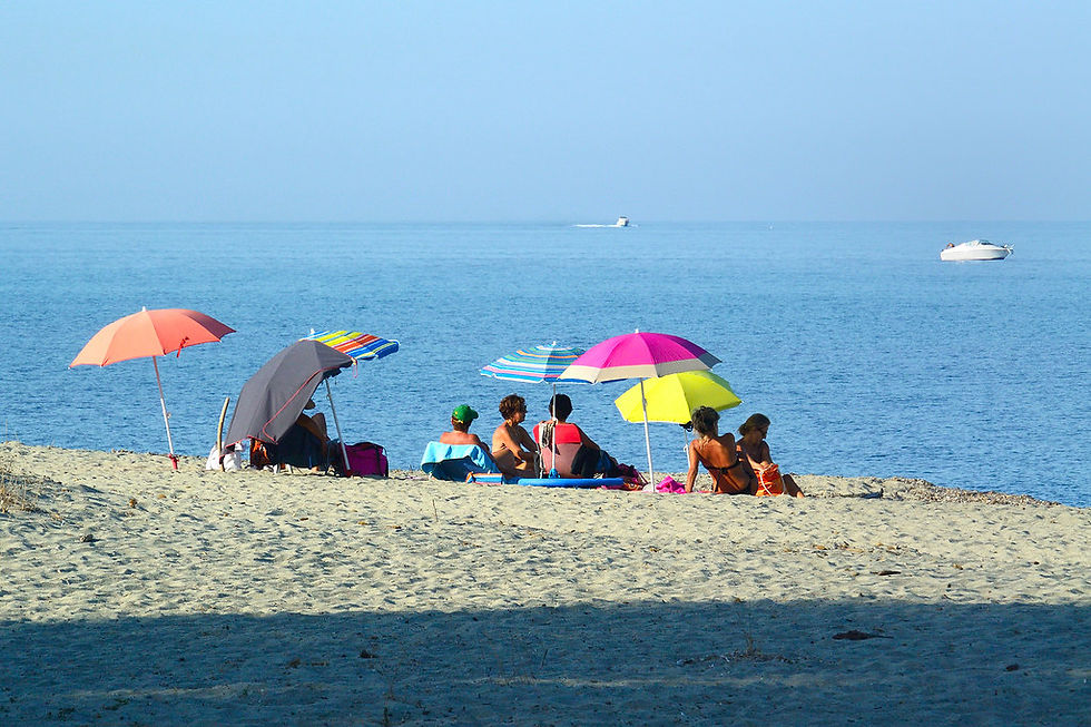 Prunete en costa verde corse
