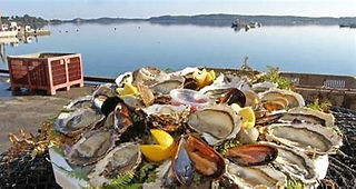 Plateau de coquillages