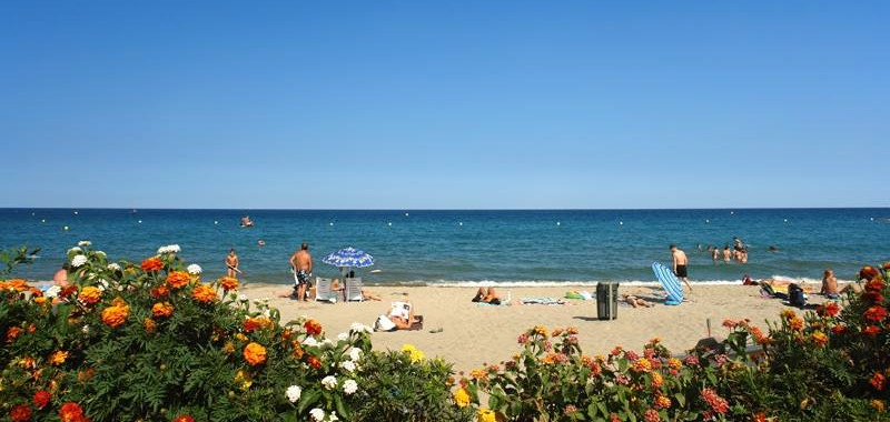 Lantanas du front de mer à Moriani