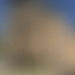 La maison des Arrighi de Casanova