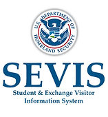 sevis-dhs.jpg