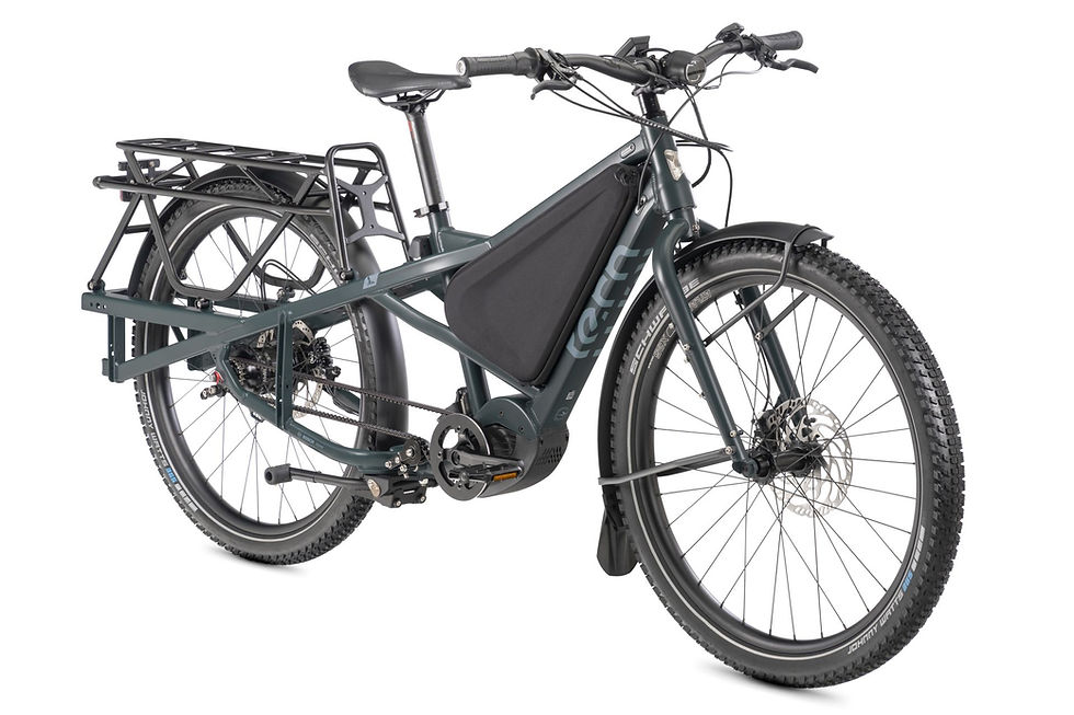 Miniaturbild: ⚡Tern Orox R14, 29", 800Wh, "Grey"