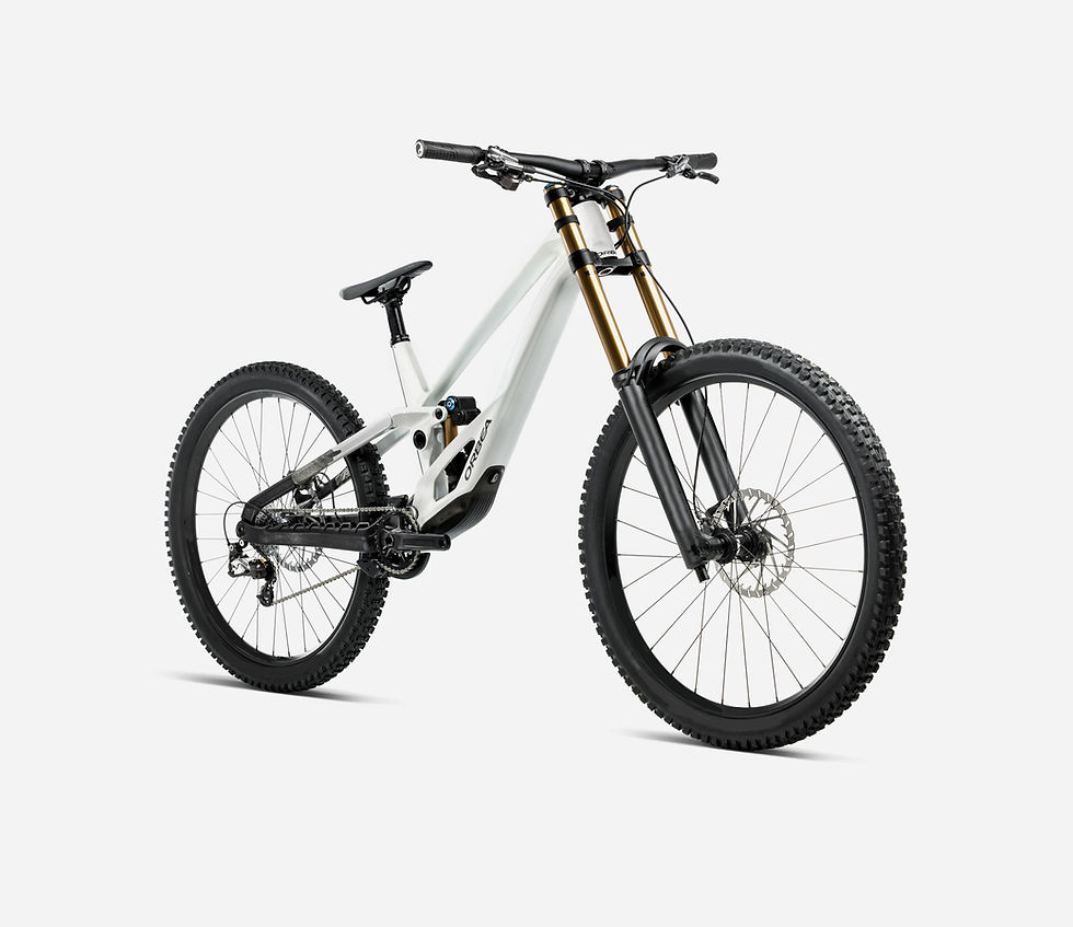 Miniaturbild: Orbea Rallon DH D-LTD 2026, "White"
