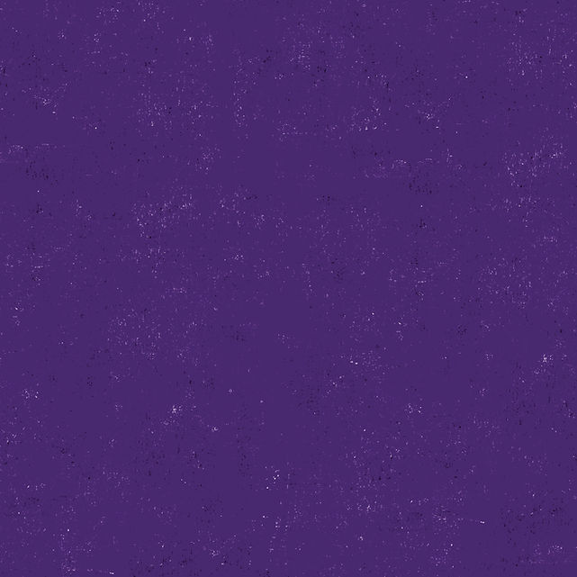 BEETLEJUICE JR_XA BG_PURPLE.jpg