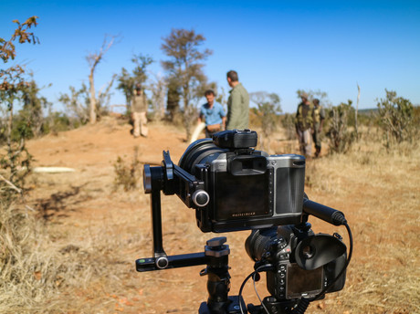 IAPF_makingoff-2.jpg