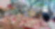 95a3c0ca-f583-4aa0-b3be-a34203d14deb~1_edited.jpg