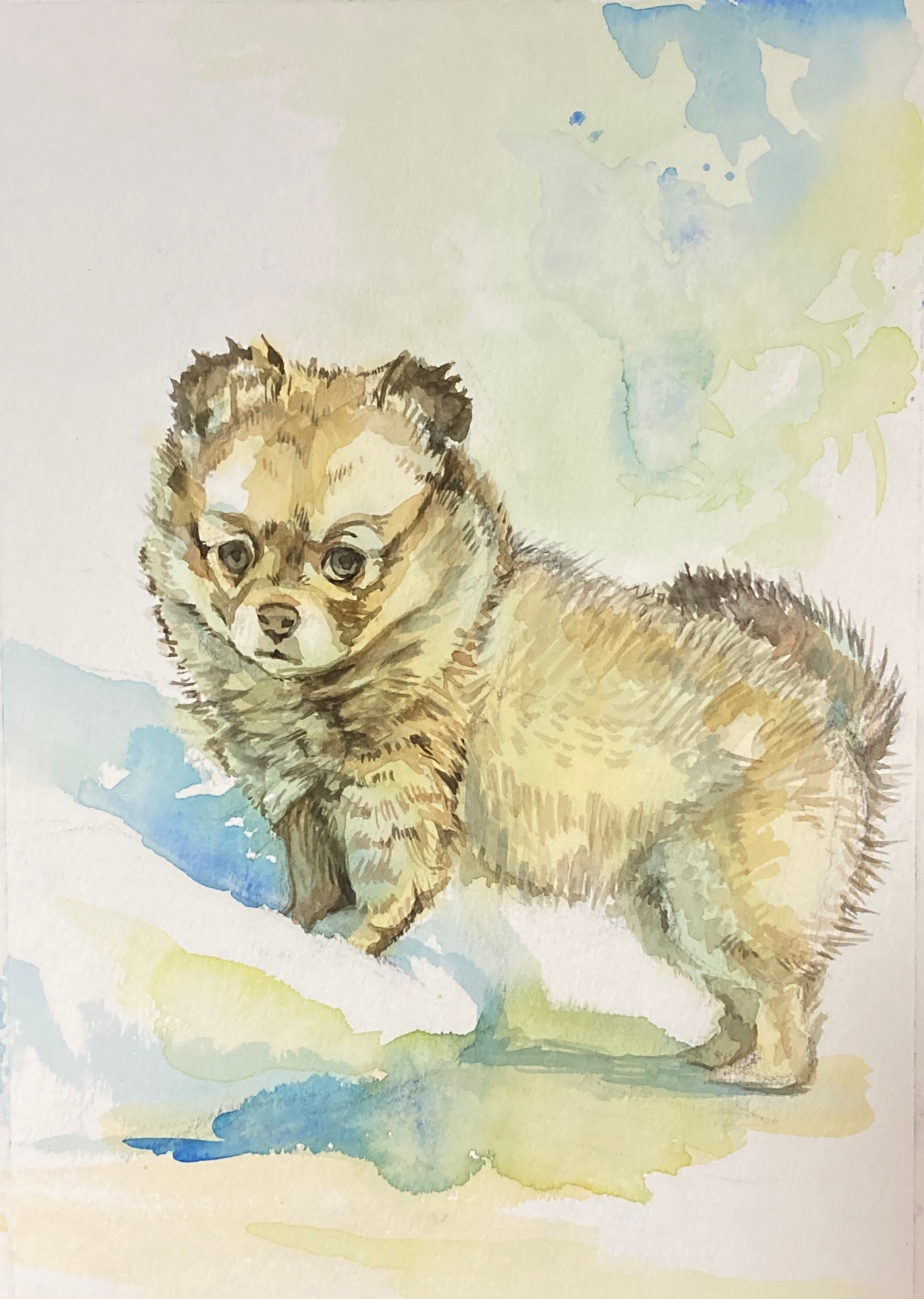 kubota | Memorial Pet Art