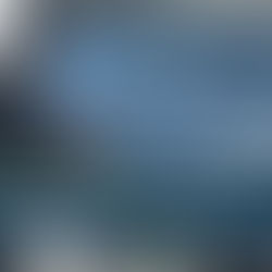 Insurance Fraud Detection: Exploring Central’s Industry-Leading Fraud Analytics Program 