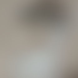 An Ounce of Prevention is Worth A Premium Savings!