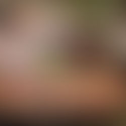 Grilling Safety Tips for Homeowners