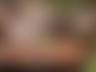 Grilling Safety Tips for Homeowners