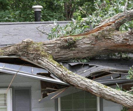 What is the highest property damage claim in terms of loss frequency?