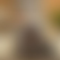 10 Tips for Wood Burning Fireplace Maintenance