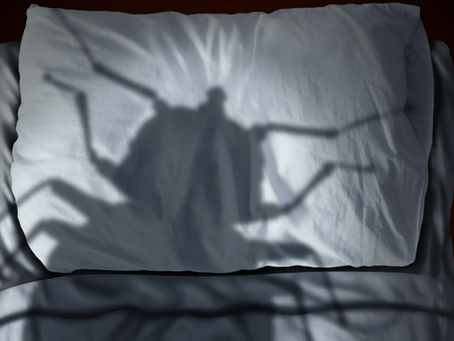 I’ve Come To Suck Your Blood: Steps to Help Prevent Bed Bugs