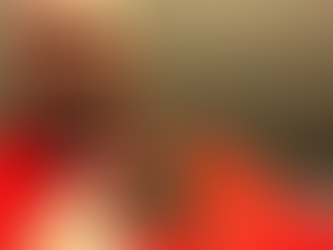 Pets and Homeowner Insurance Policies