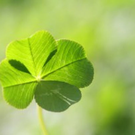 Finding Great Customer Service is More Than Just Luck