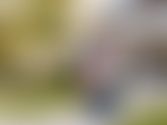 Not All Homeowner Insurance Policies Are Equal