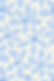 Blue Floral.jpg