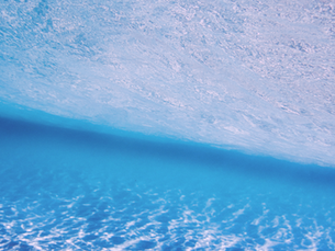 SUDG Response to Defra's Biodiversity Net Gain Consultation 