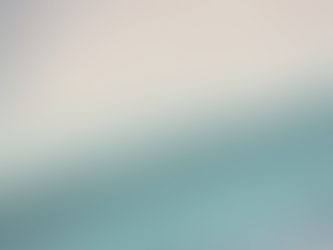 SUDG response to Defra's Marine Net Gain Consultation