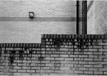 Screenshot 2021-12-07 at 09.17.18.png