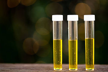 oil SQUIIIIIRTTTT.jpg