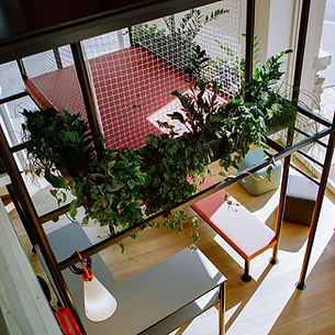 a674fdaa-6520-4772-8230-8597d3a6cb0b (1).jpg