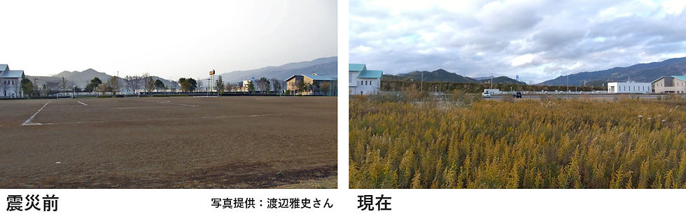 植樹地は、震災前に「県立野外活動センター」があった場所です