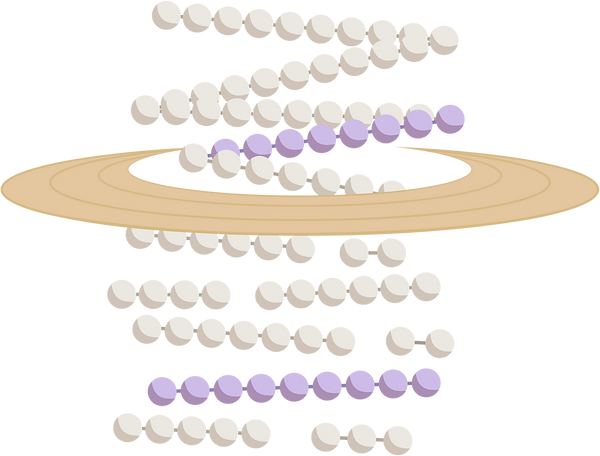 工作區域 26_3x.png