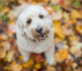 AdobeStock_125052040.jpeg