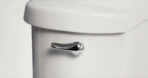 2.-Flush-toilet_530x.gif
