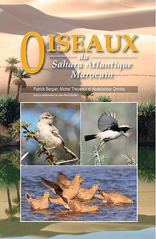 Couverture-Oiseaux-Sahara-atlantique-marocain.jpg