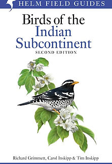 Indian Subcontinent. jpg.jpg