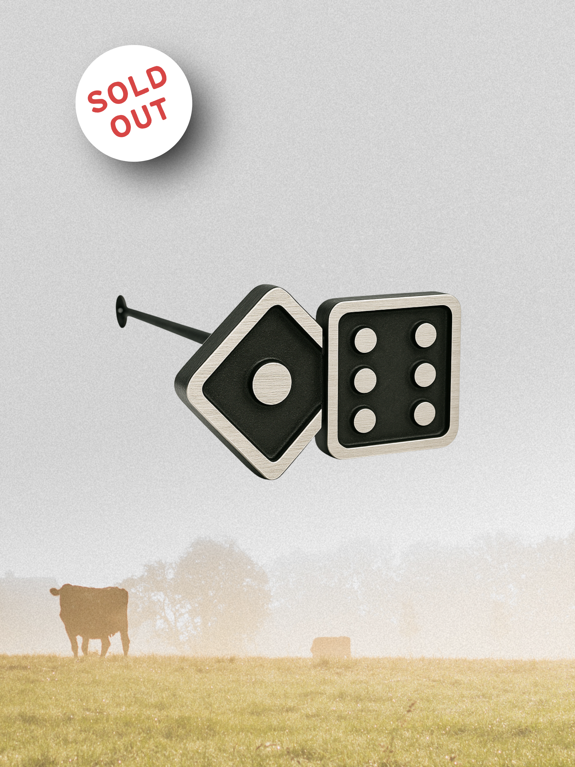 Sixes & Ones Cattle Brand