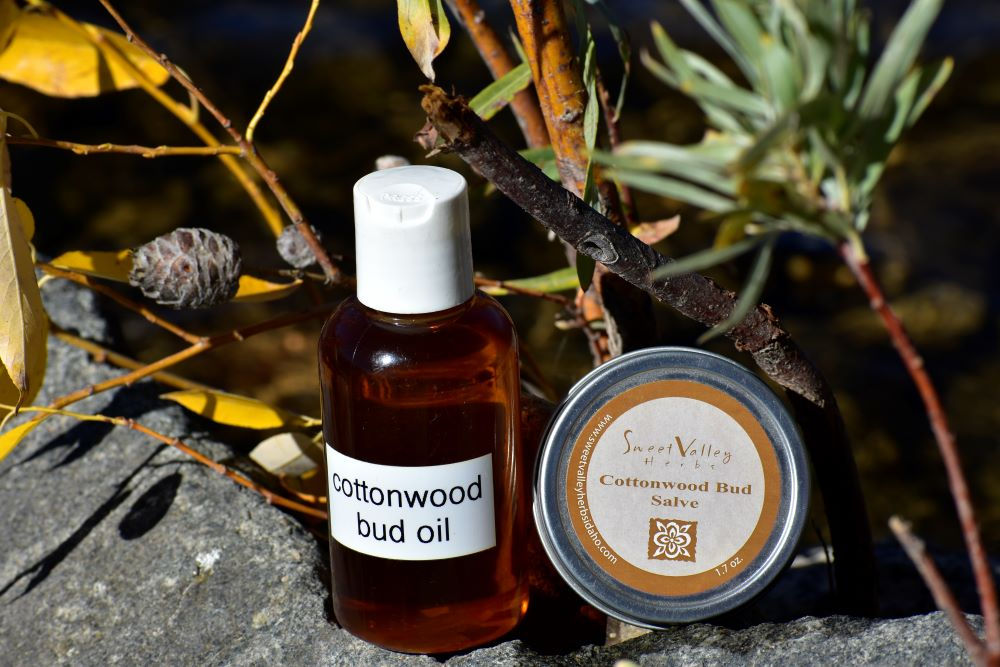 Cottonwood Bud Salve