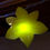 Thumbnail: Goleuadau Cennin Pedr | Daffodil Lights