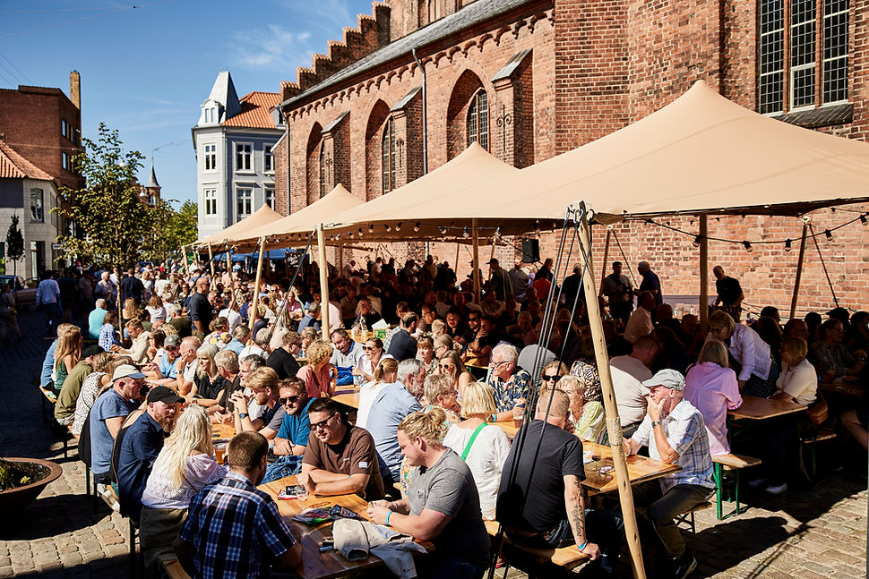 Randers Ølfestival_R6A8329.jpg