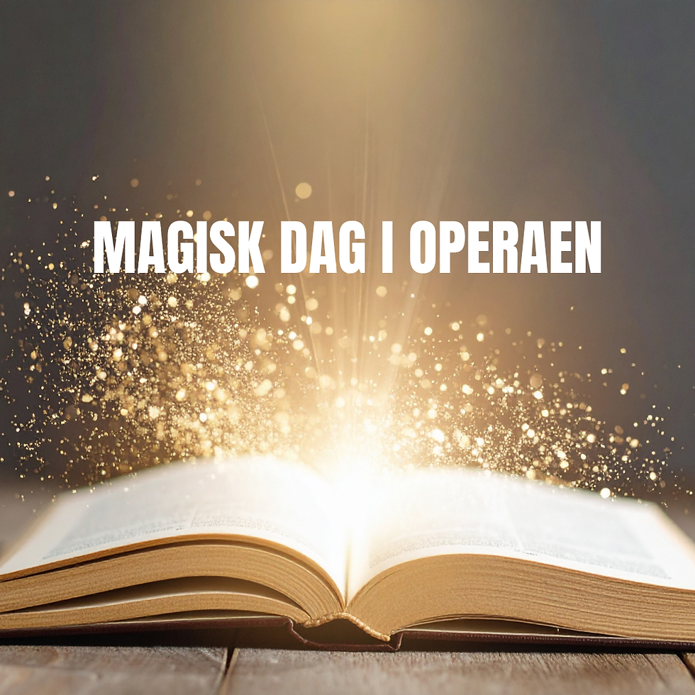 Magisk dag i Operaen - hold 2