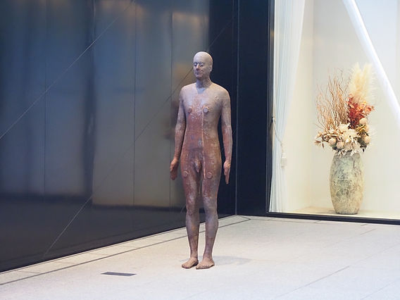 bfde4e_75cdb03c2eb541828ecd8b0