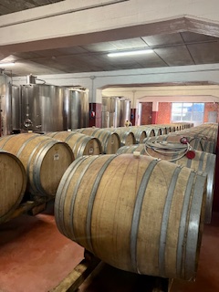 wine barrels at a winery