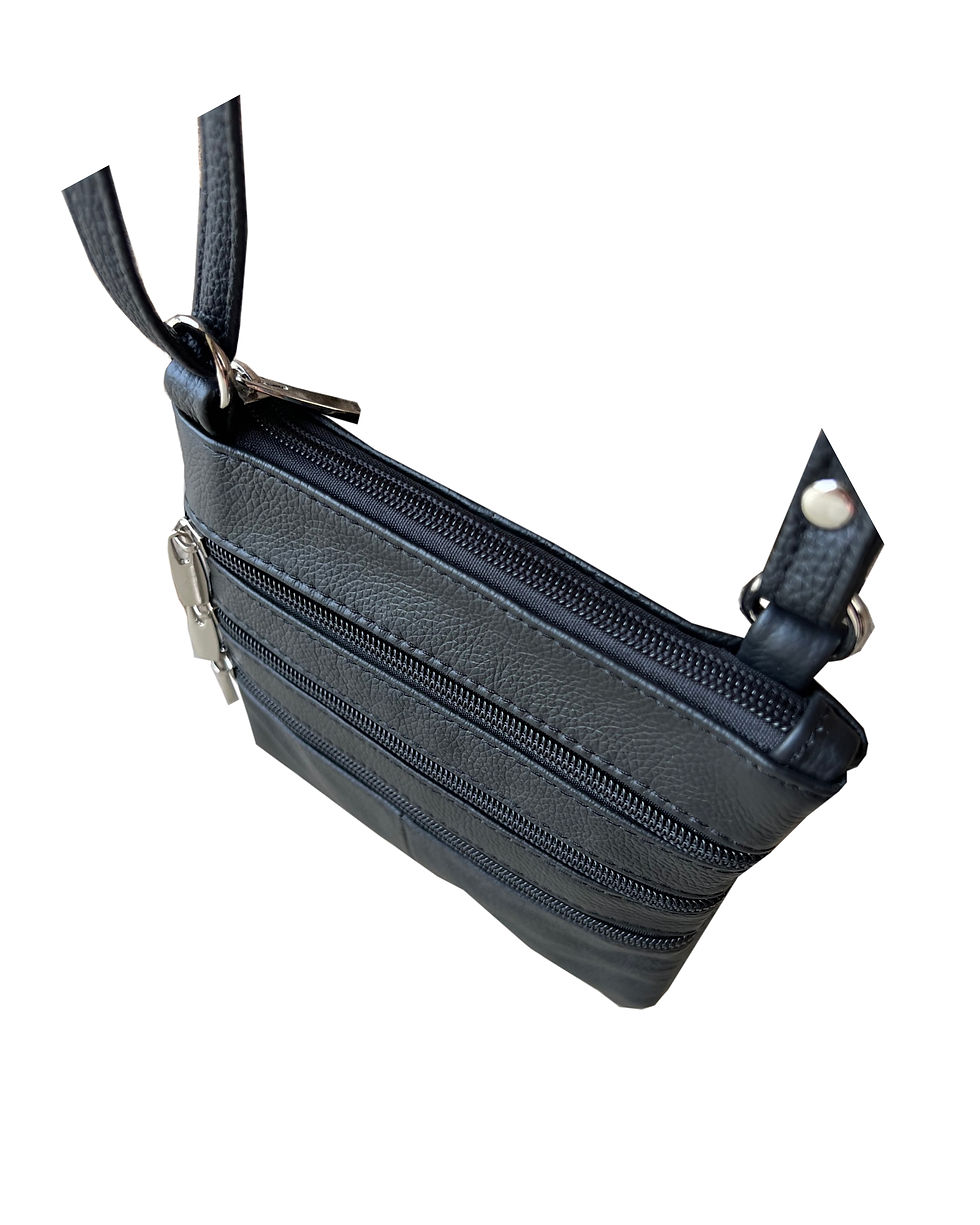 Thumbnail: Triple Zip Carry-All