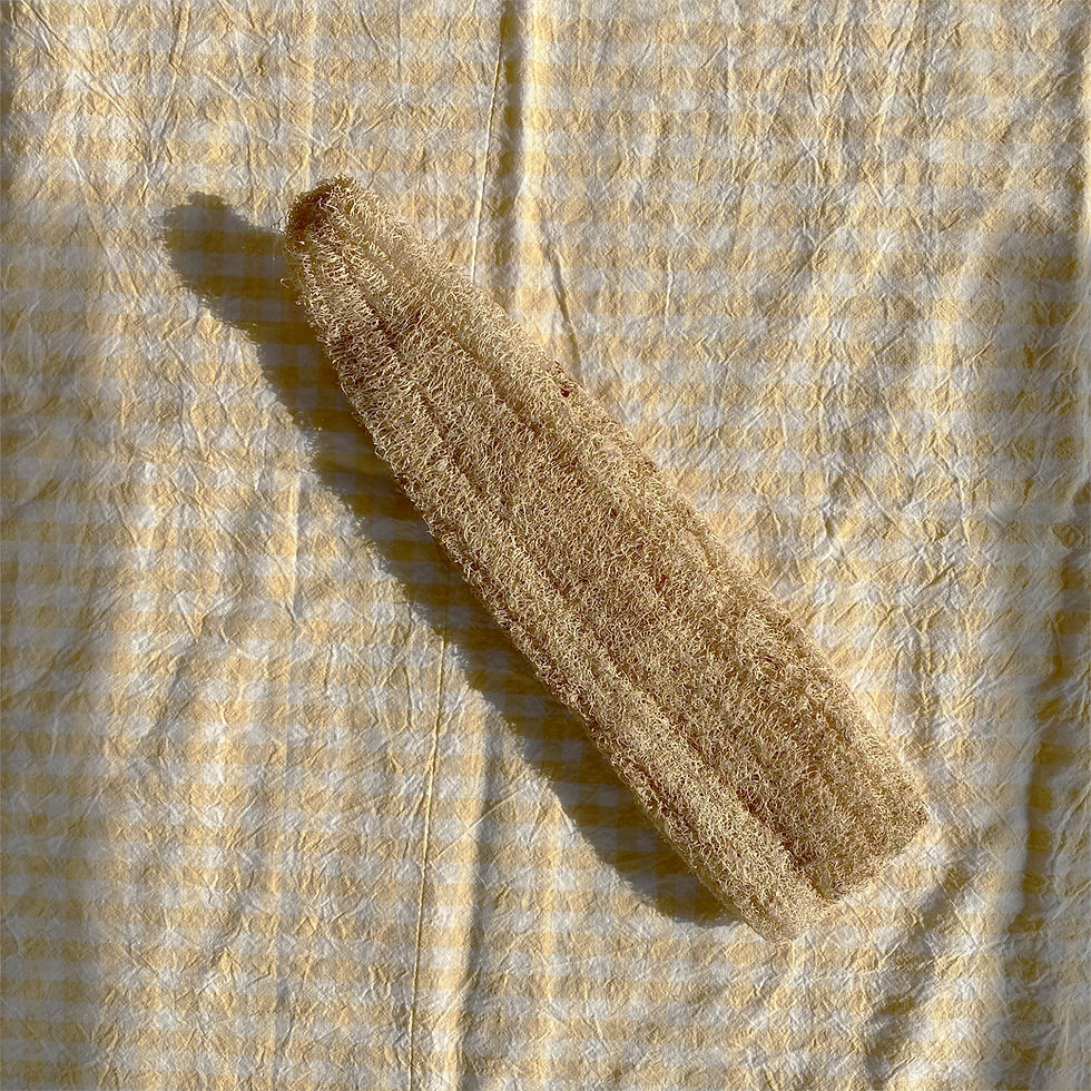 섬네일: Eco-friendly  nature sponge