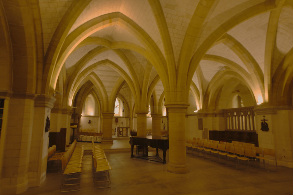 downstairs vaulting.jpg
