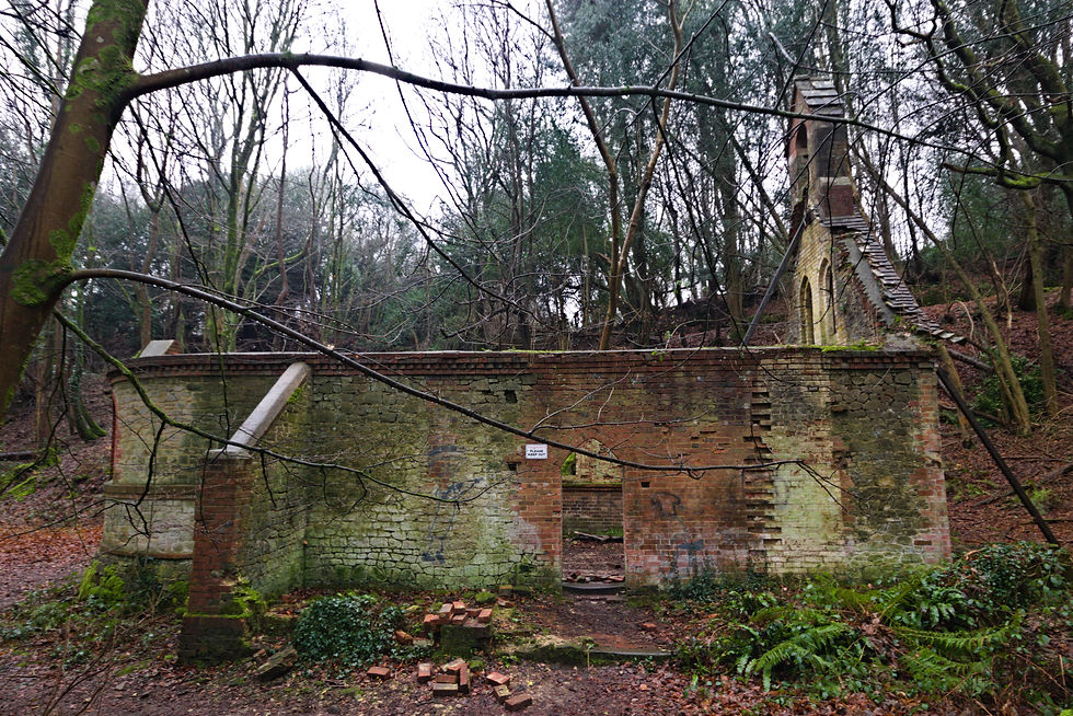 view 6.jpg