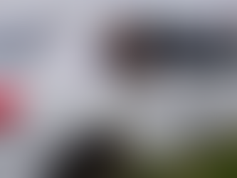 Un hombre murió tras chocar contra un carpincho y volcar con su auto en la ruta