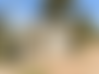 En su primer día en la colonia de vacaciones un nene de siete años murió ahogado en una pileta