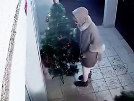Delincuentes pero "con corazón": robaron un arbolito de navidad y dejaron algo a cambio