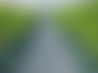 En qué consiste la Ley de Cannabis Medicinal y Cáñamo Industrial